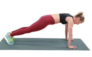 Plank Exercise to Improve Core Strength, Reduce Belly Fat, Reduce weight, Stay Fit , Stay Healthy